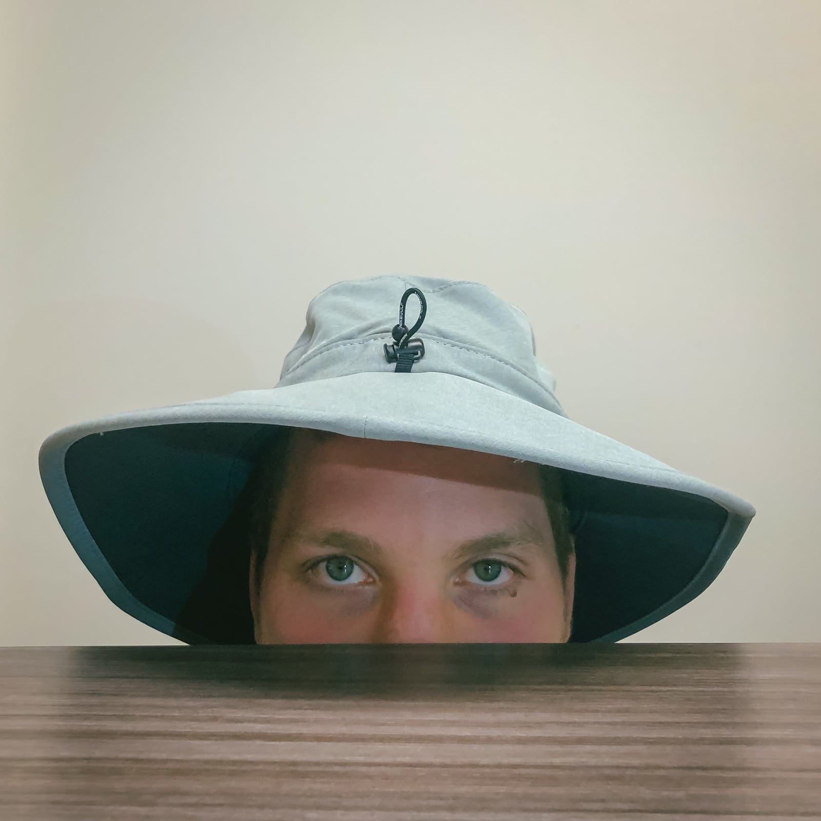 The Eyes Are A Window