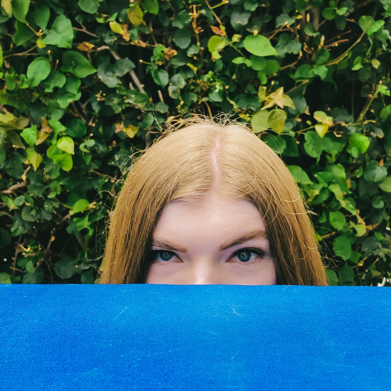 The Eyes Are A Window