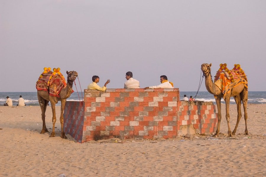 Puducherry, India beach with camel rides