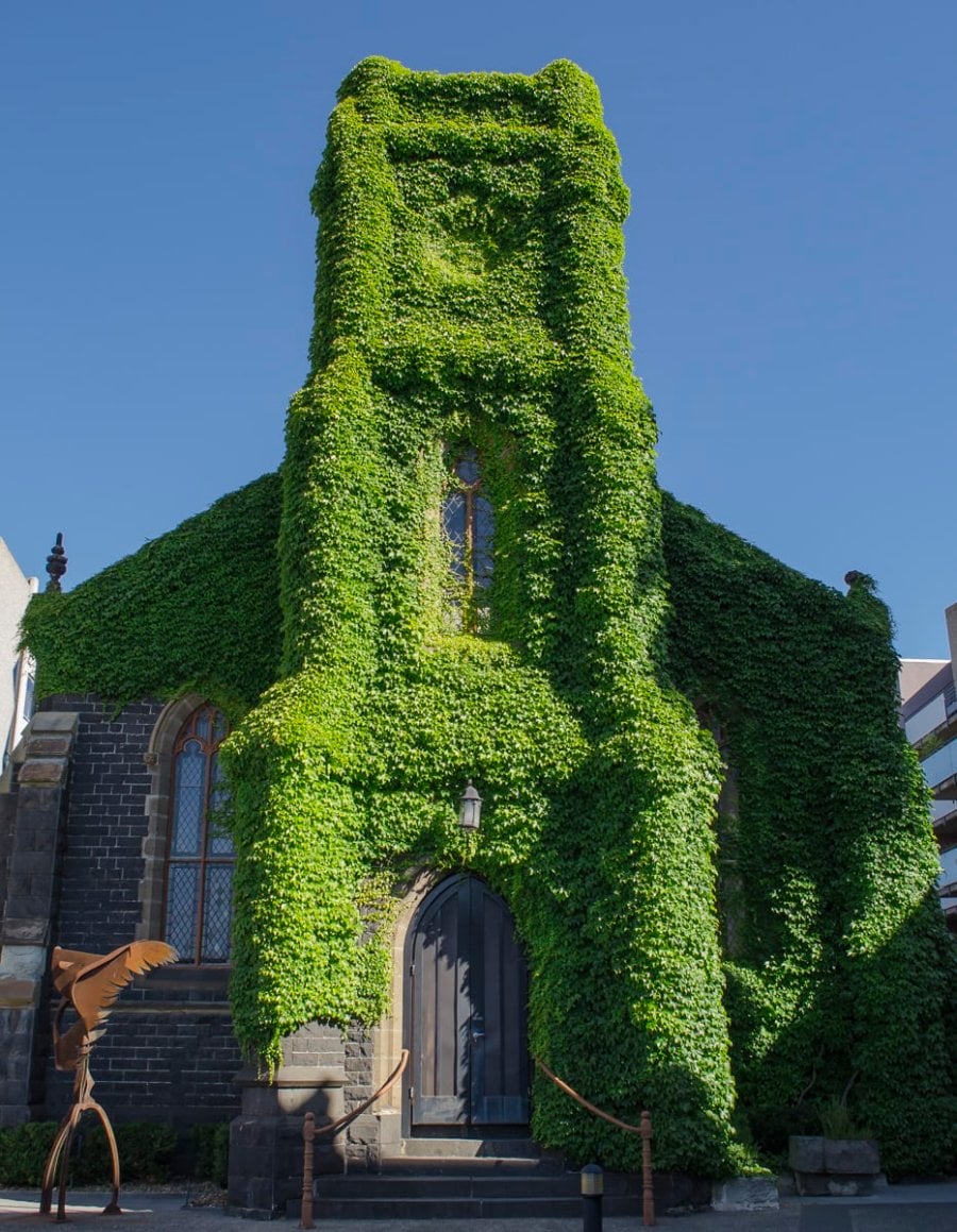 An old church covered with vines in Melbourne, Australia