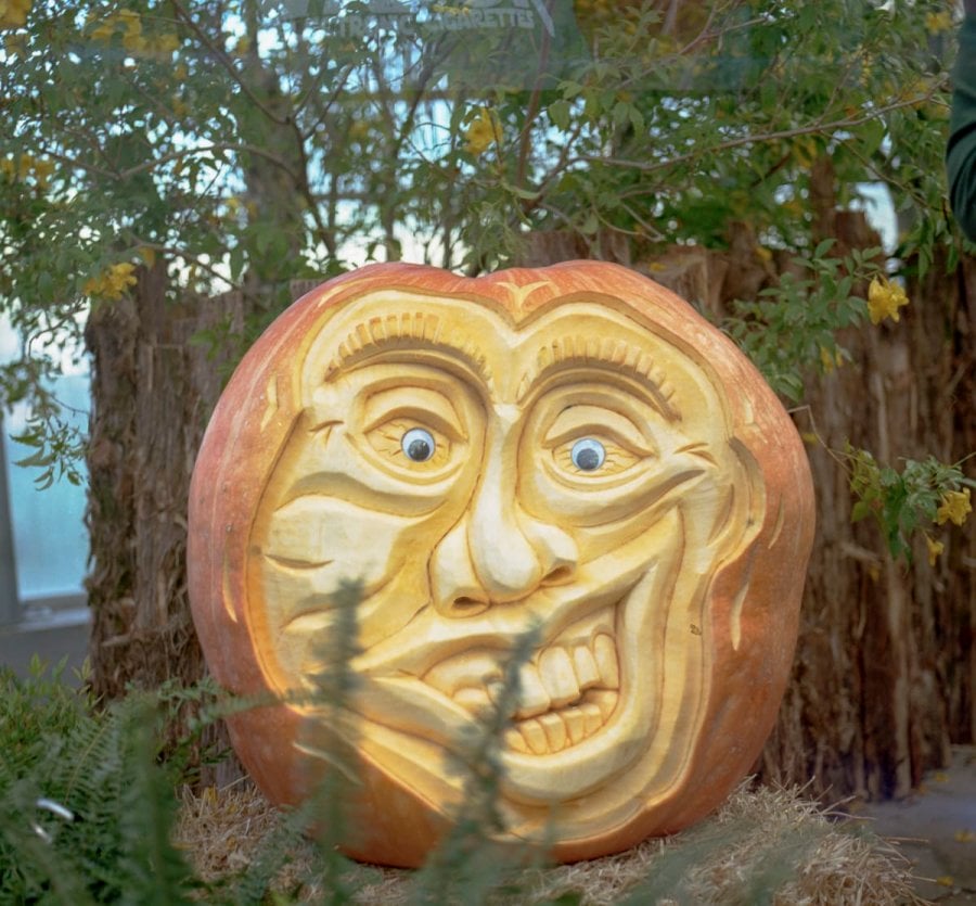 A carved pumpkin at the State Fair of Texas