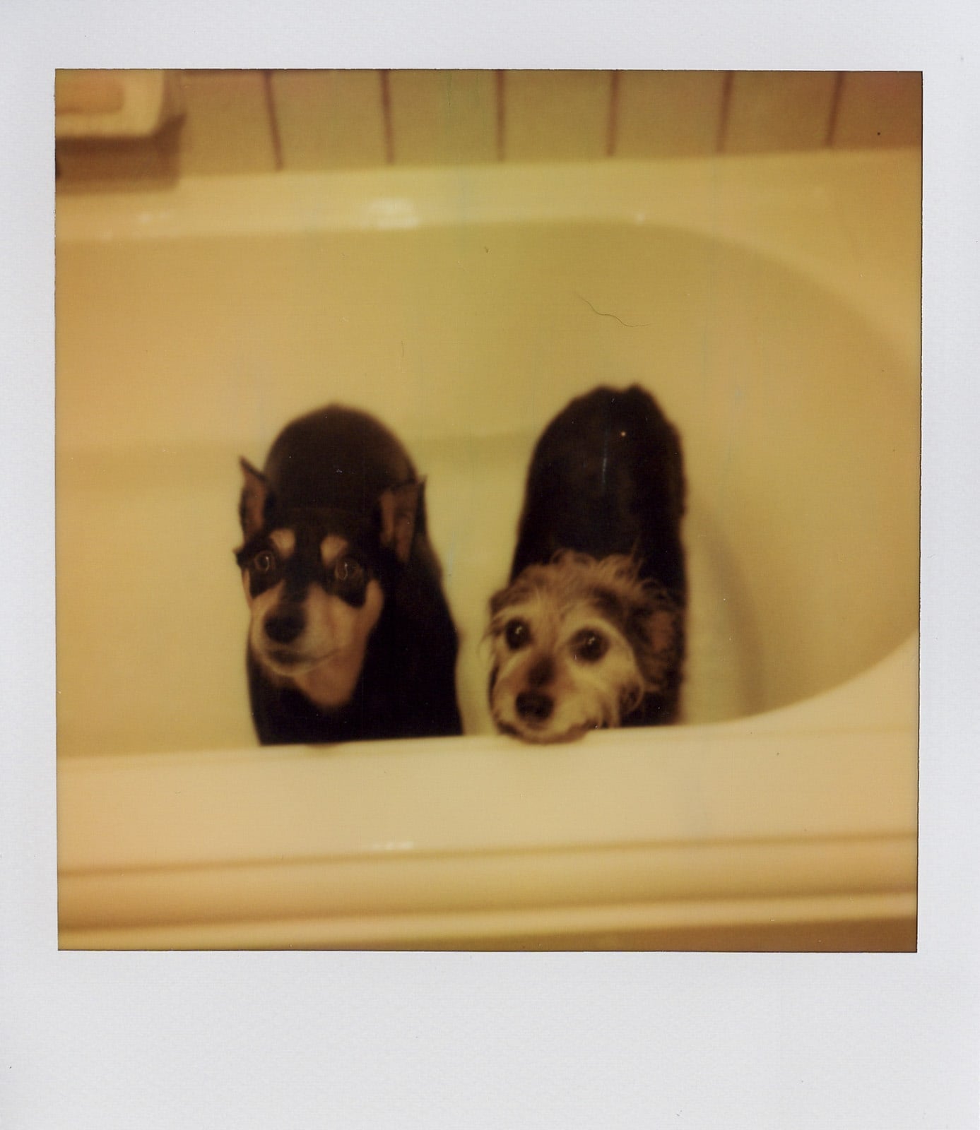 Gambit and Lucy taking a bath