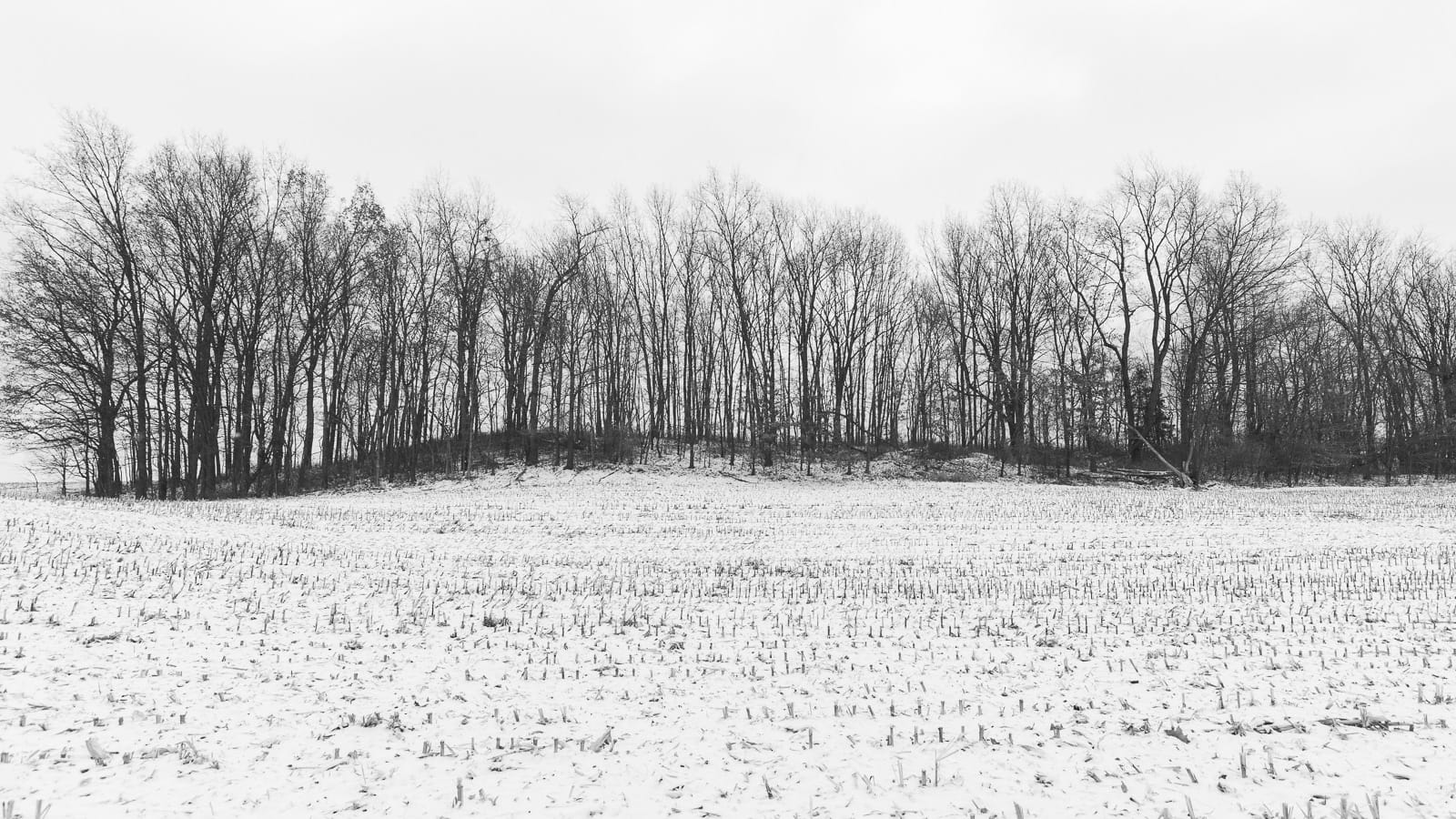 White Christmas in Holland, Michigan