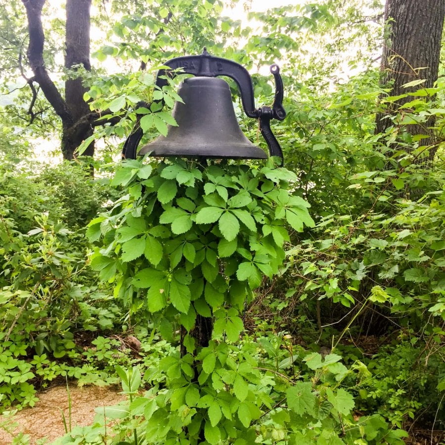 An old bell with overgrown vines on it in Martin Township