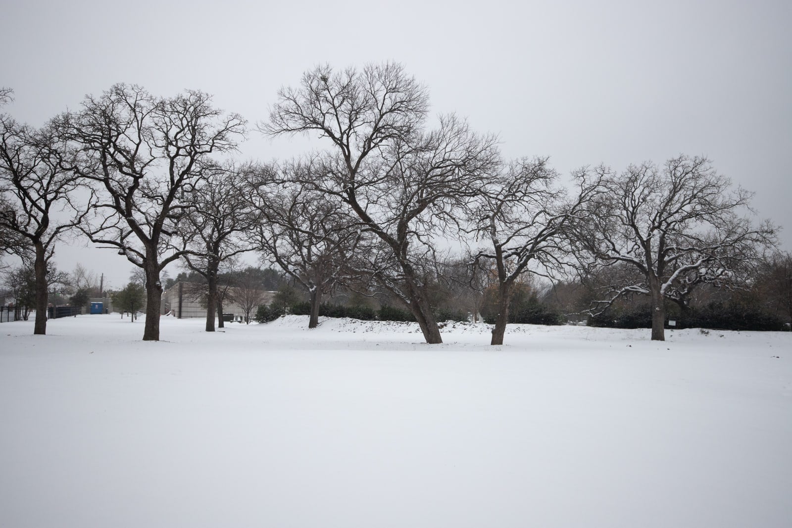 a park completely blanketed with pristine snow