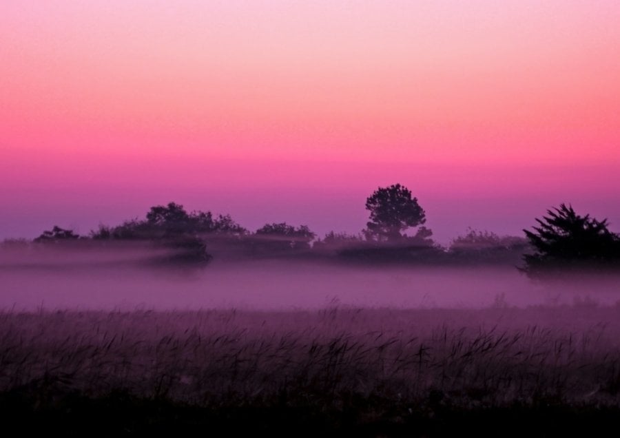 Morning foggy purple sunrise