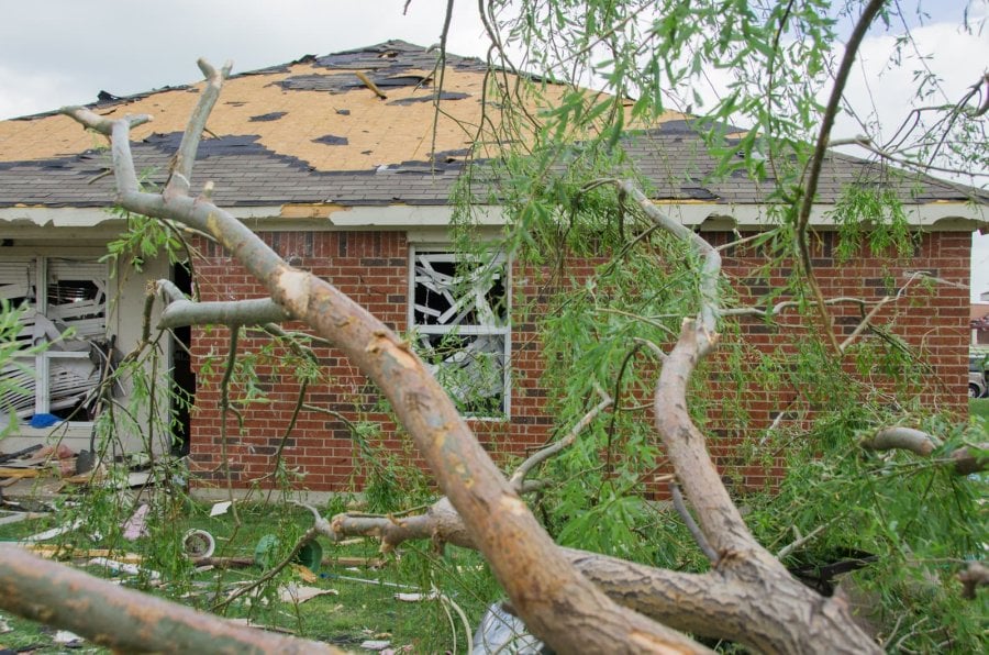 A fallen tree and damaged house