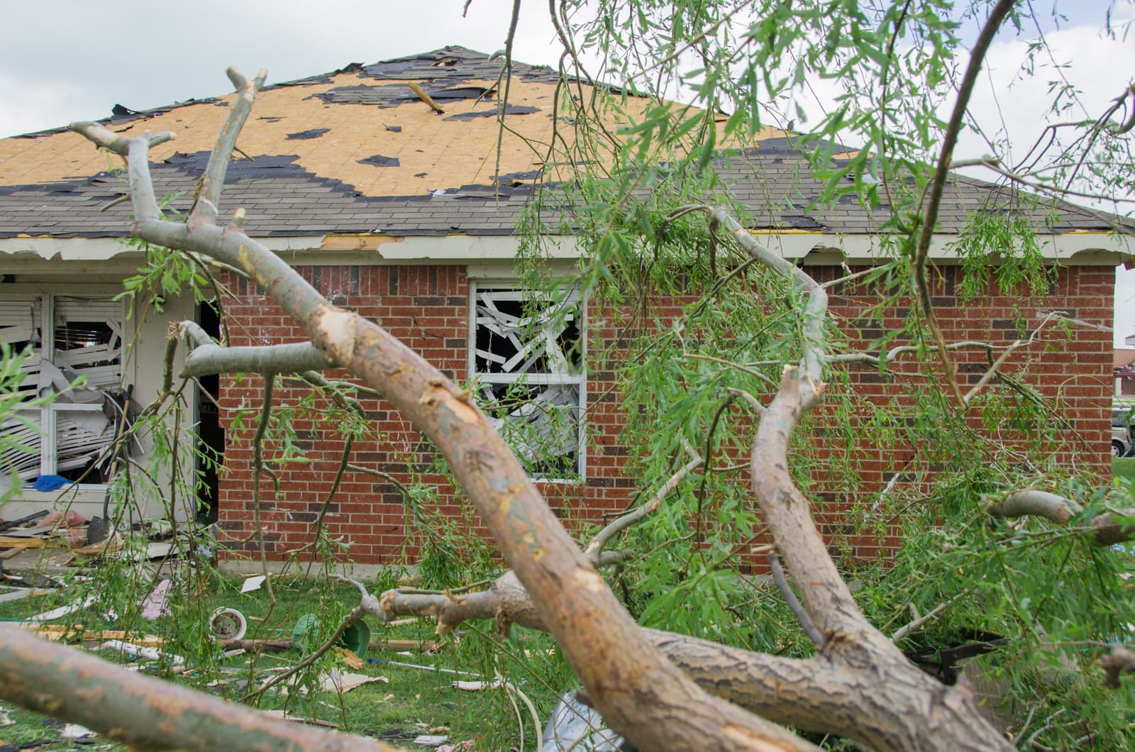 A fallen tree and damaged house