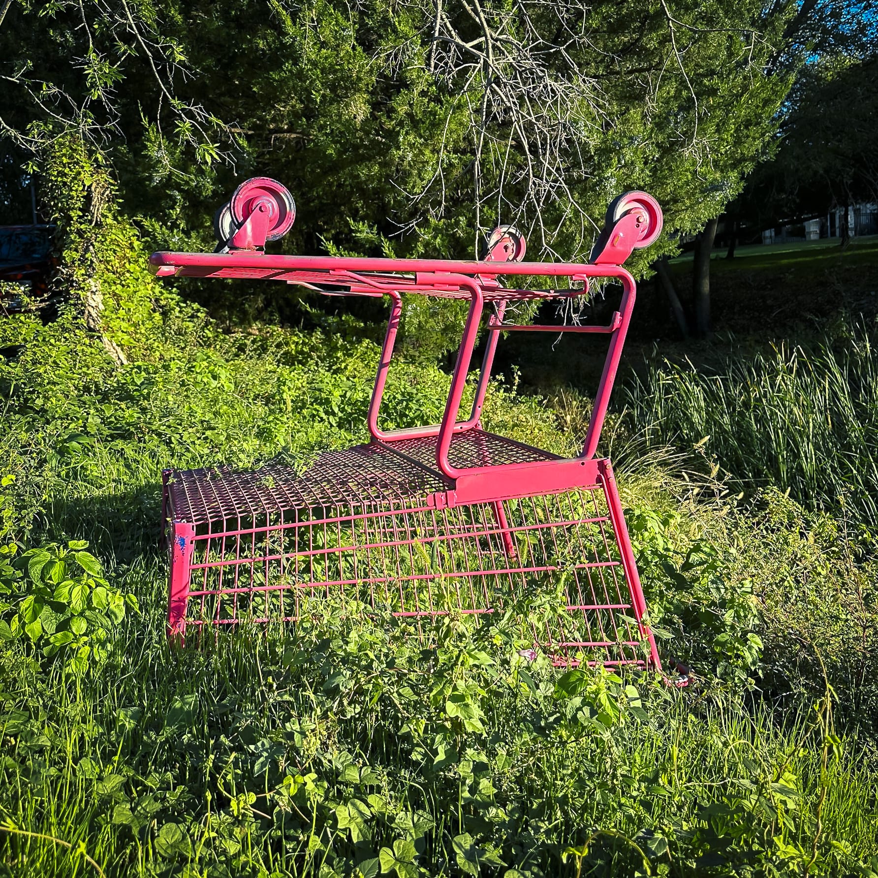 Abandoned Shopping Cart