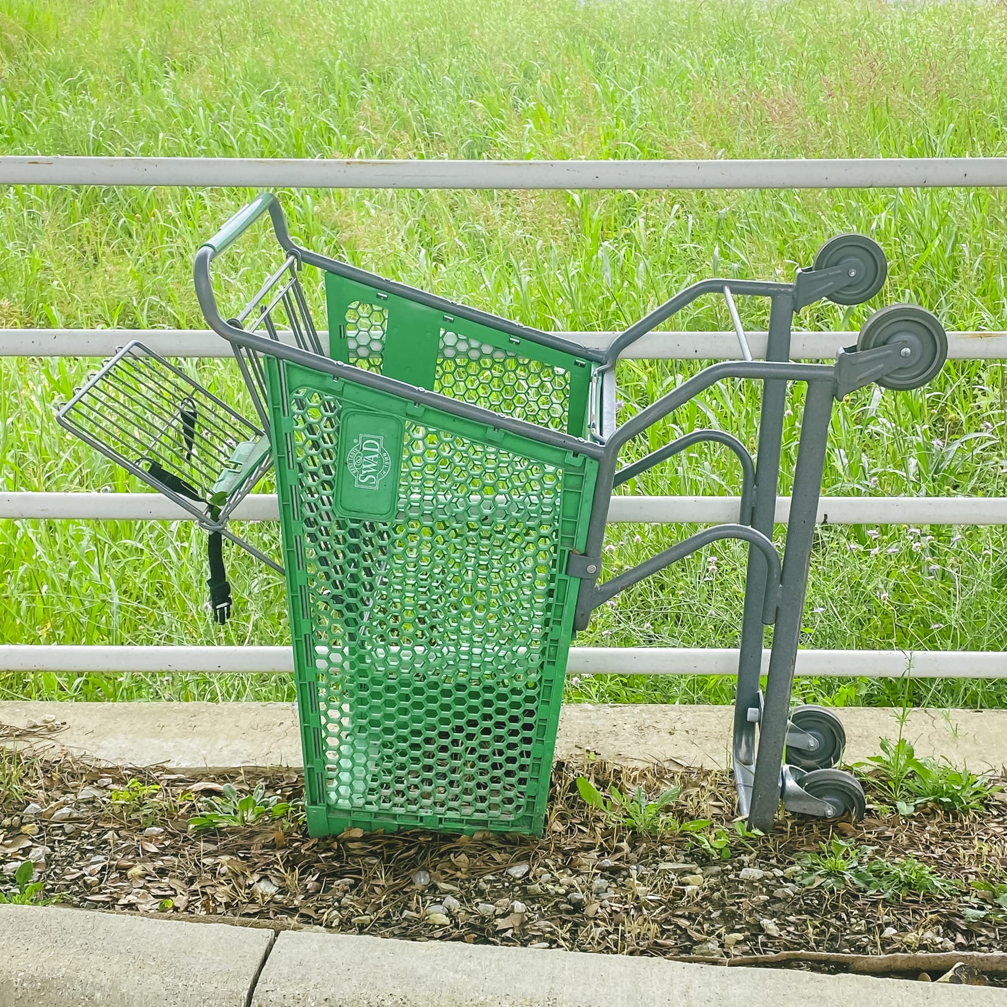 Abandoned Shopping Cart