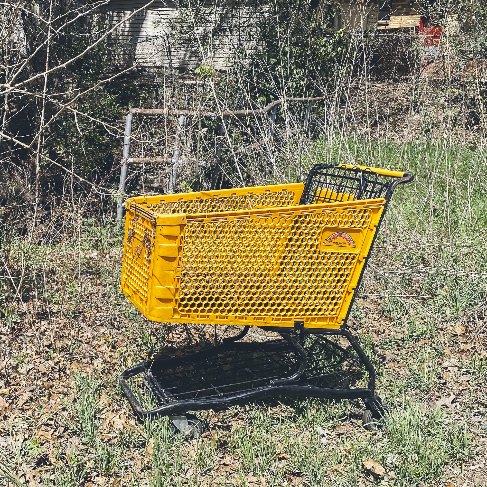 Abandoned Shopping Cart