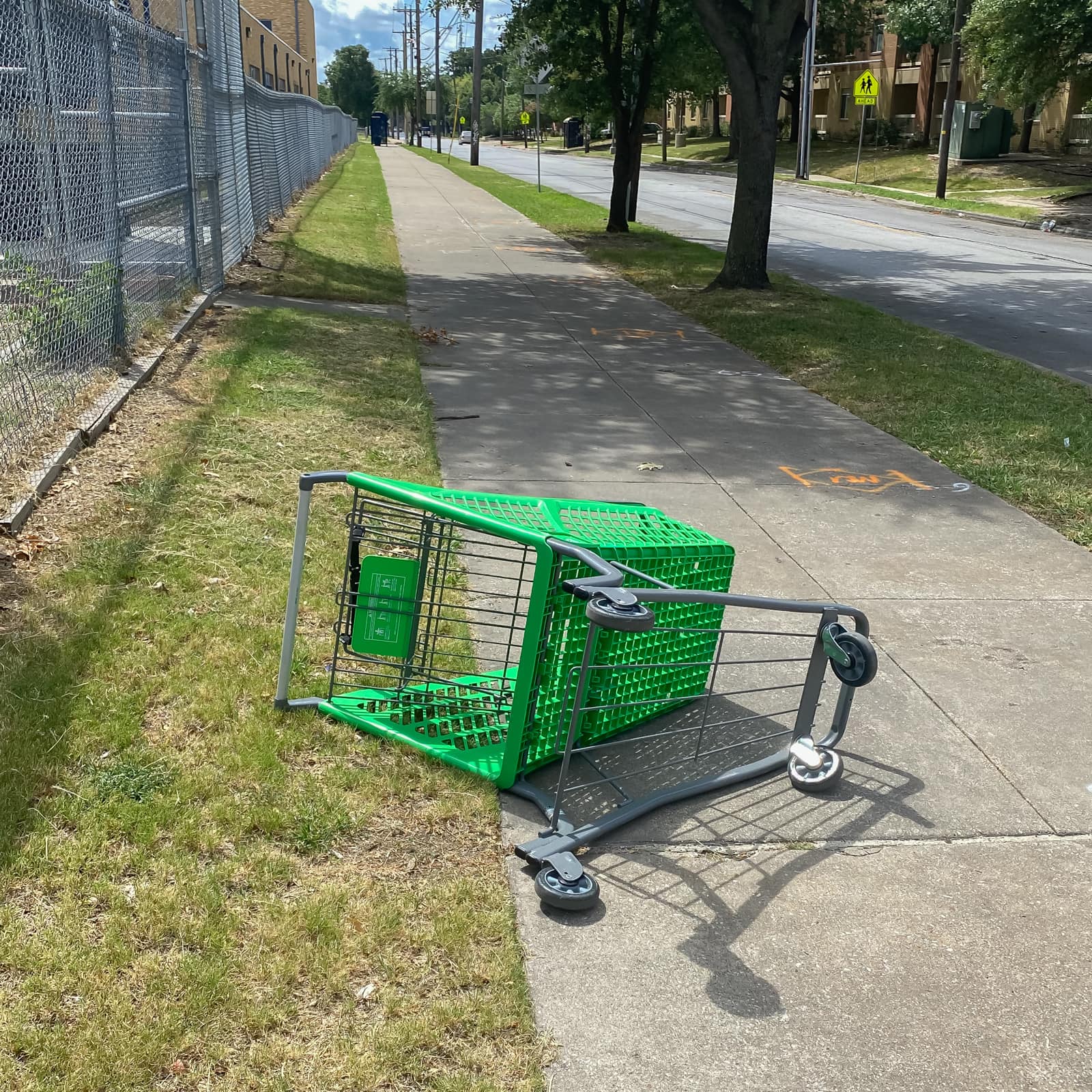 Abandoned Shopping Cart