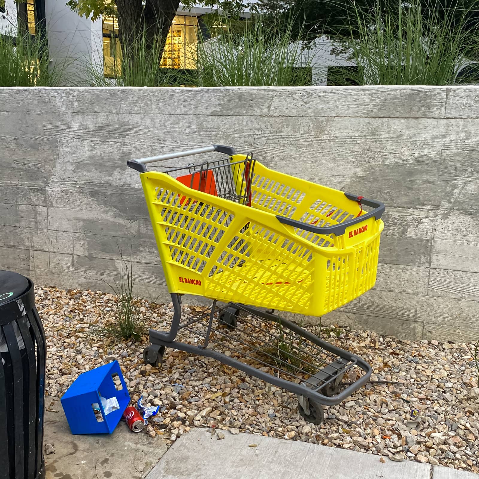 Abandoned Shopping Cart