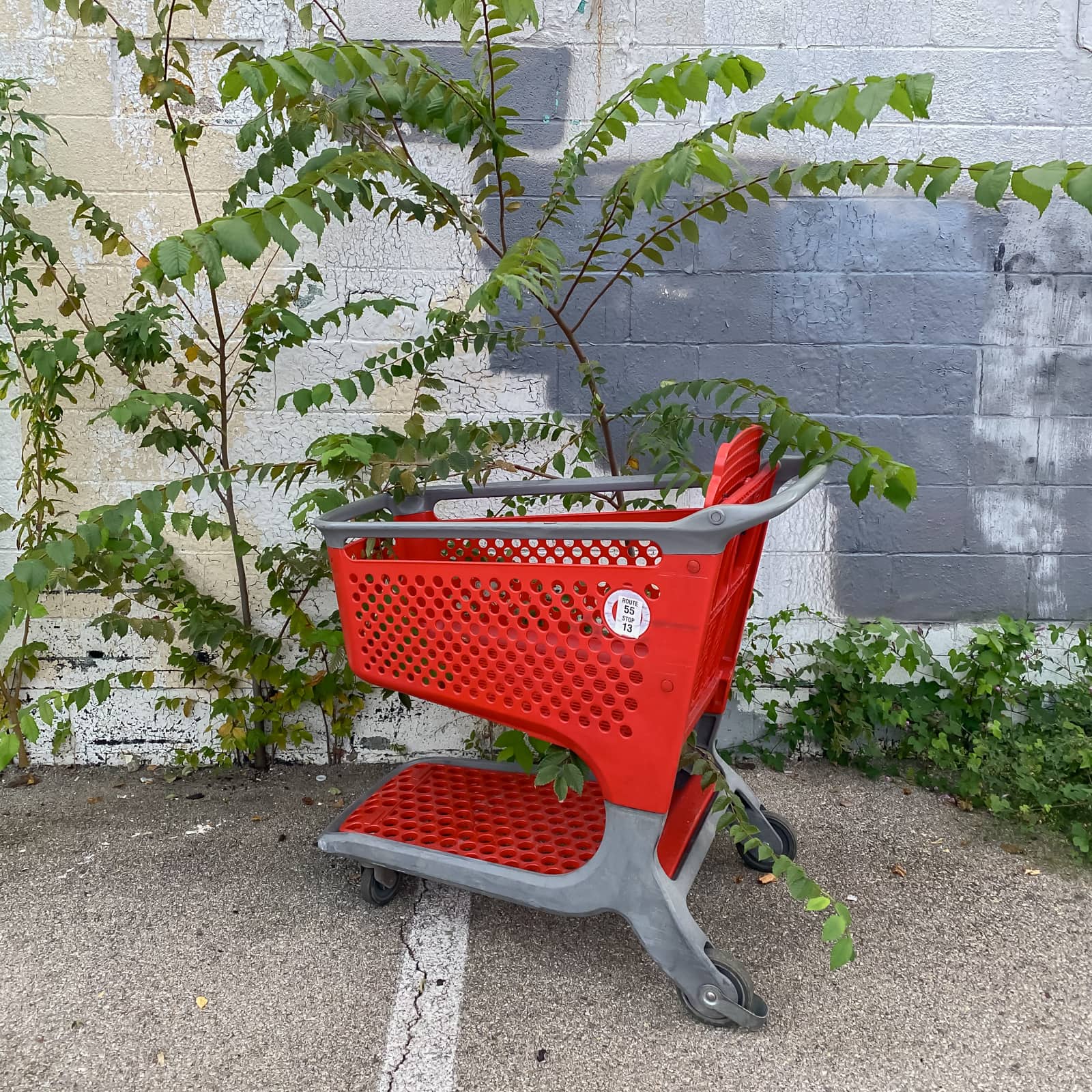 Abandoned Shopping Cart