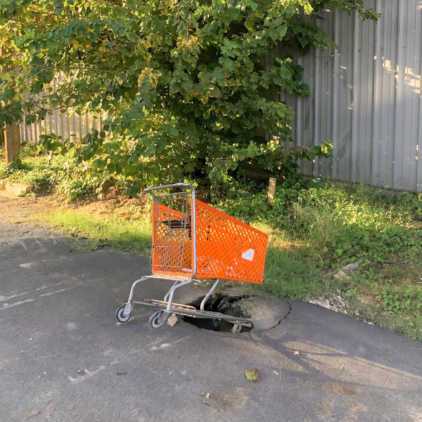 Abandoned Shopping Cart