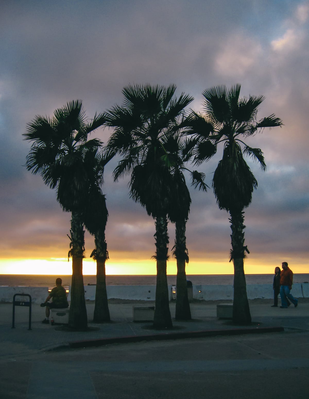 Palm trees and people at Sunset