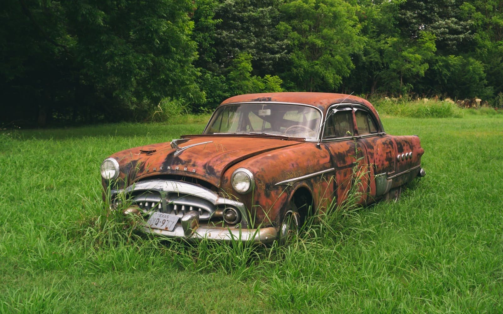 1951 Packard Patrician 400, Abandoned And Deteriorating In Texas