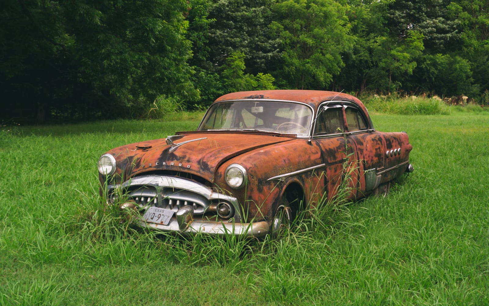 1951 Packard Patrician 400 Abandoned And Deteriorated In A Texas Field