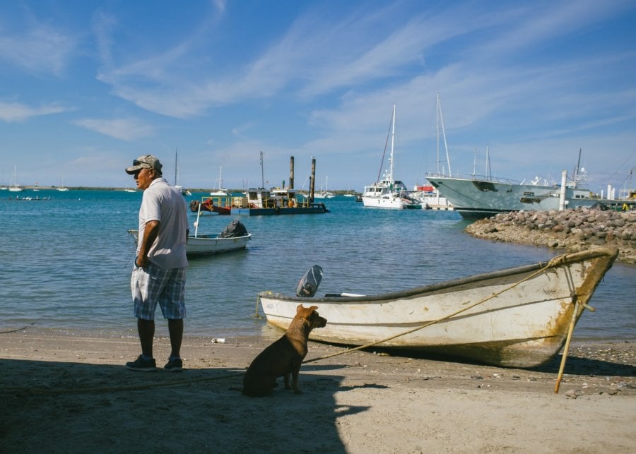 A fisherman and dog on the beach in La Paz, Mexico