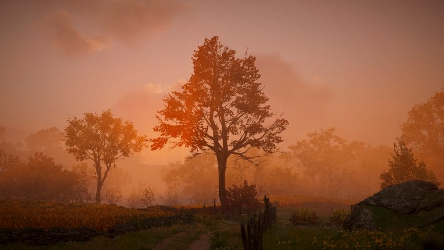 Video game landscape photography