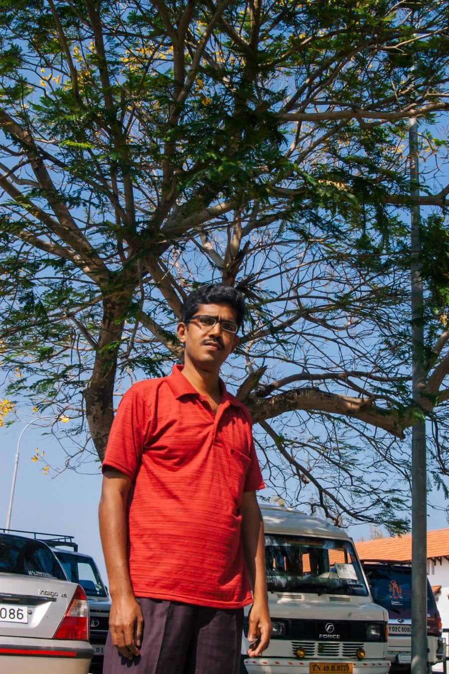 Tsunami Survivor K. Pasupathi standing under the tree he held on to to save his life